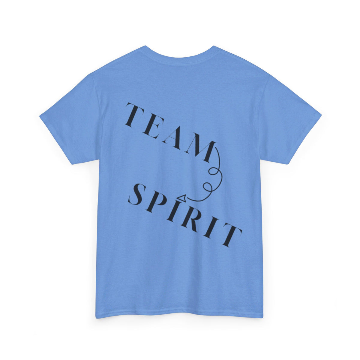 RCNSONS Unisex Heavy Cotton SPIRIT Tee