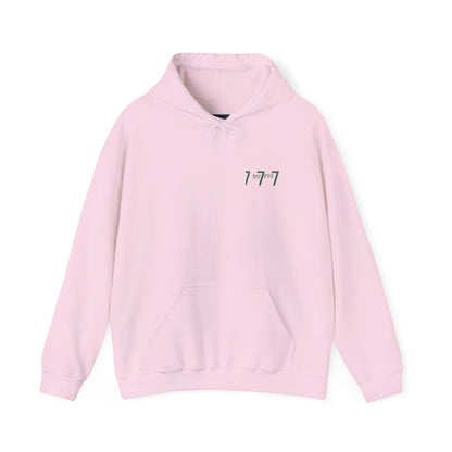 Hooded Sweatshirt - Up for 777
