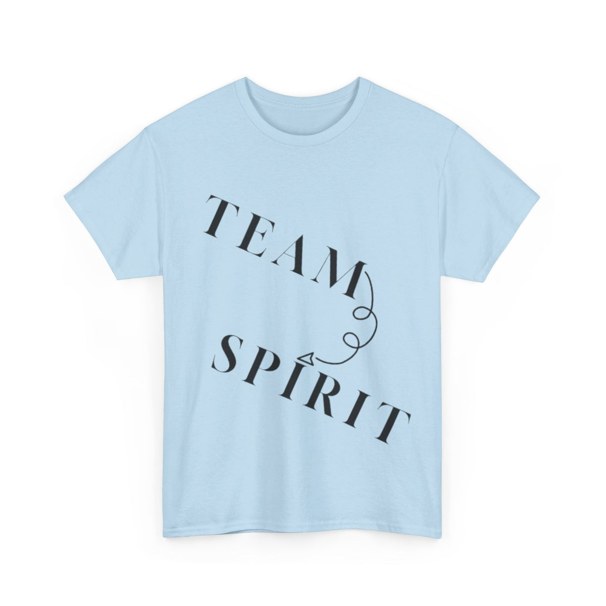 RCNSONS Unisex Heavy Cotton SPIRIT Tee