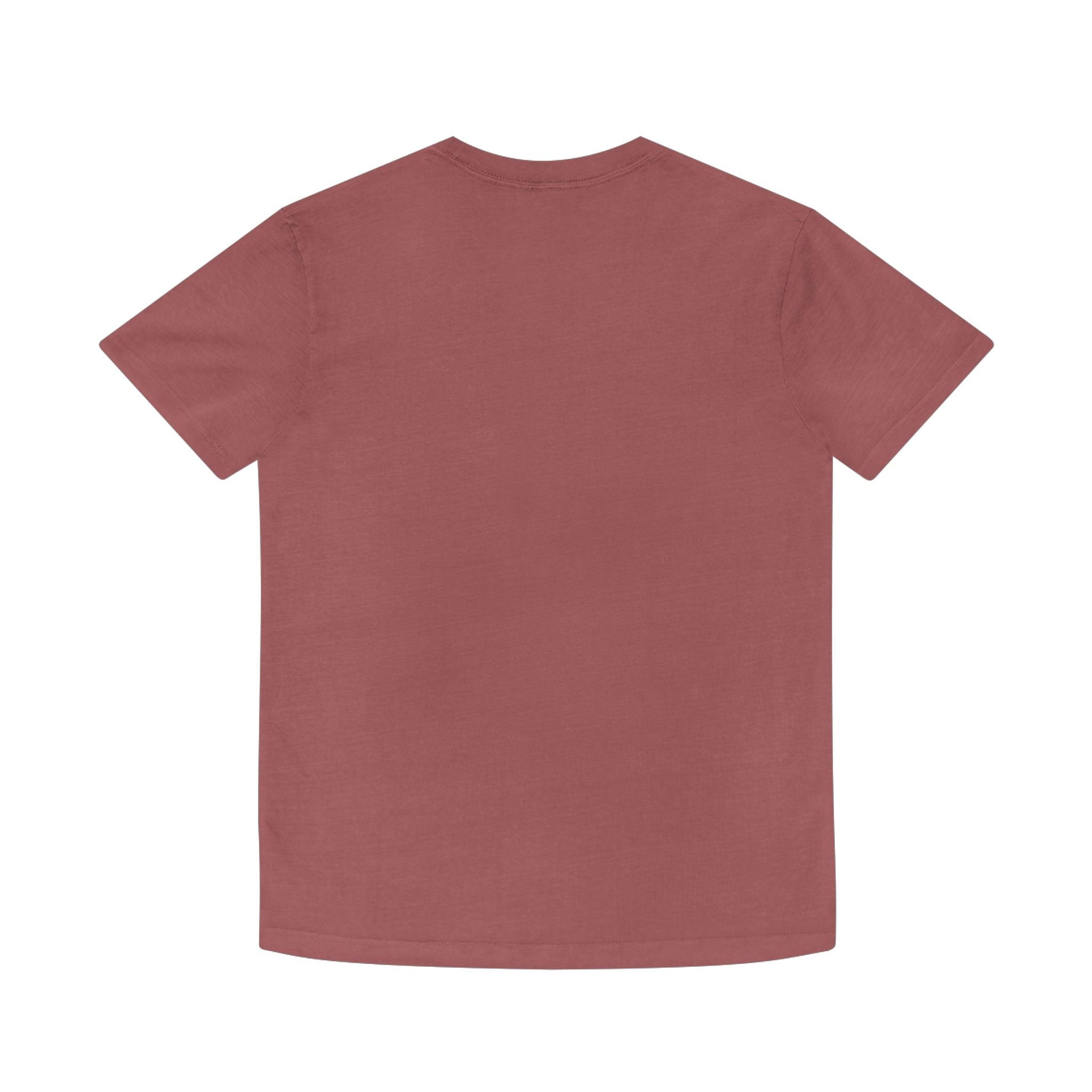 Sterne Faded Shirt - Vintage Style Unisex Tee