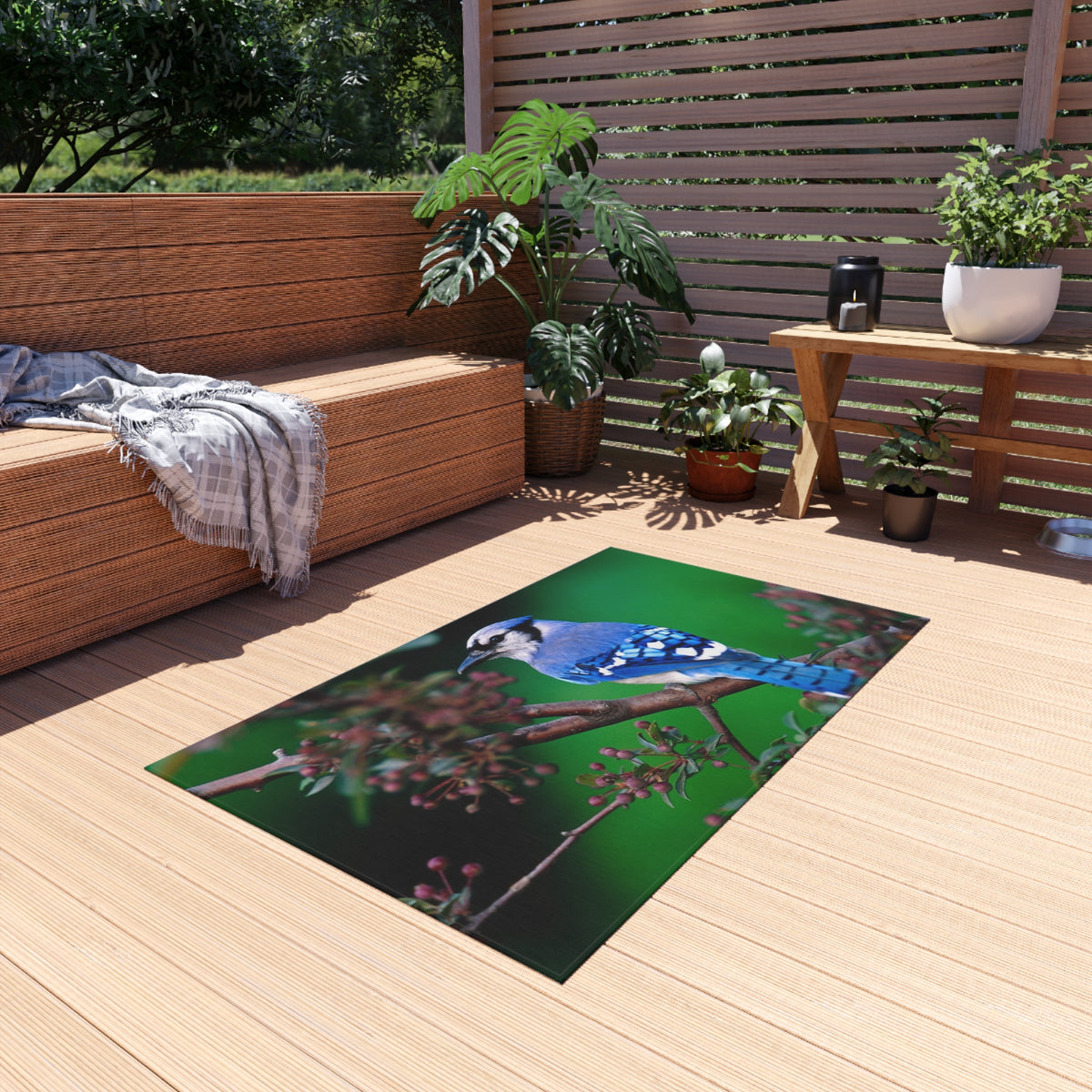 Outdoor Rug
