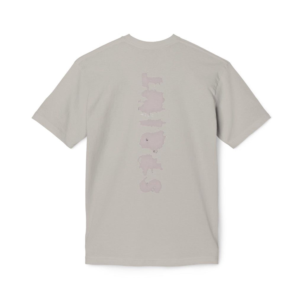 Unisex Midweight T-shirt, Made in US