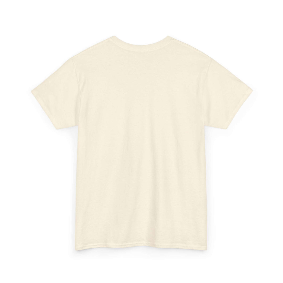 Unisex Heavy Cotton laundry Tee