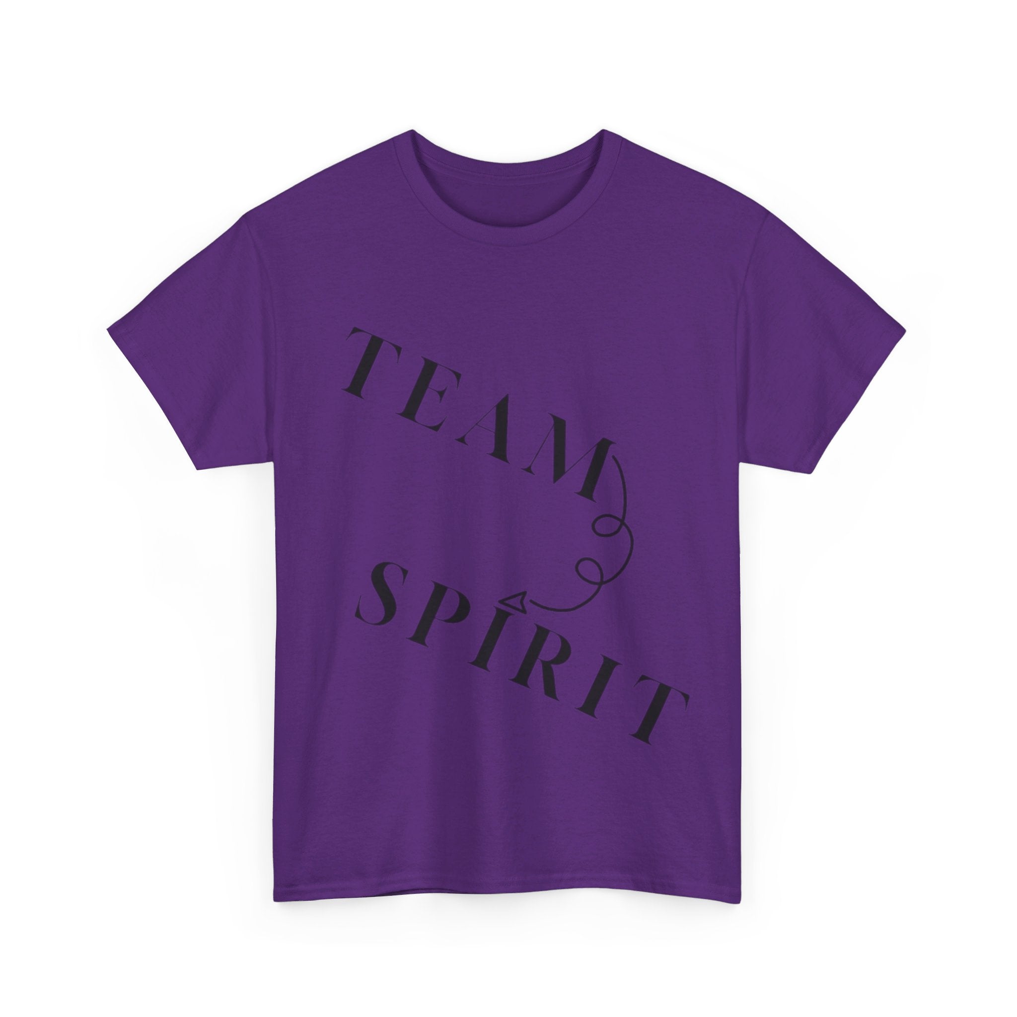 RCNSONS Unisex Heavy Cotton SPIRIT Tee
