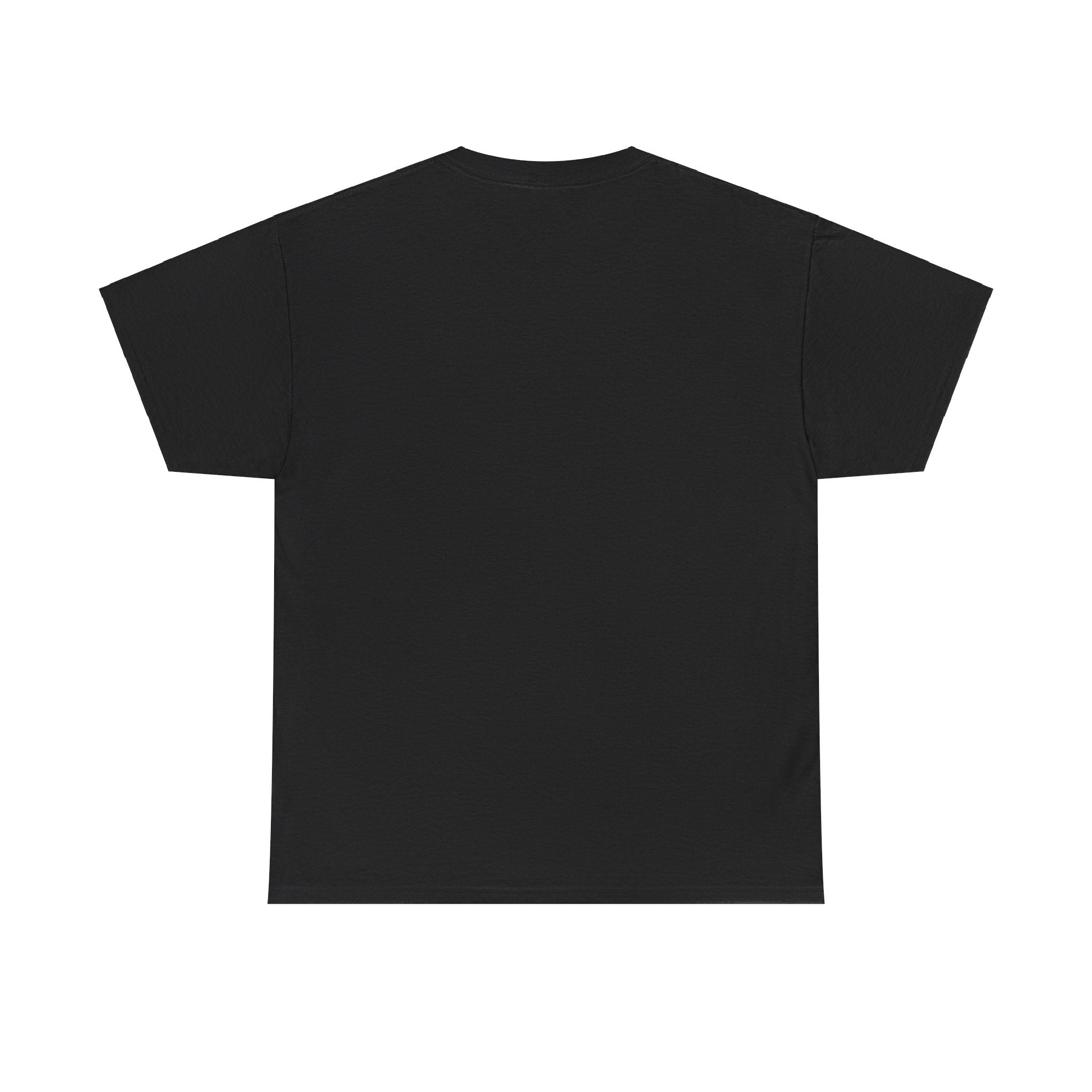 Unisex Heavy Cotton laundry Tee