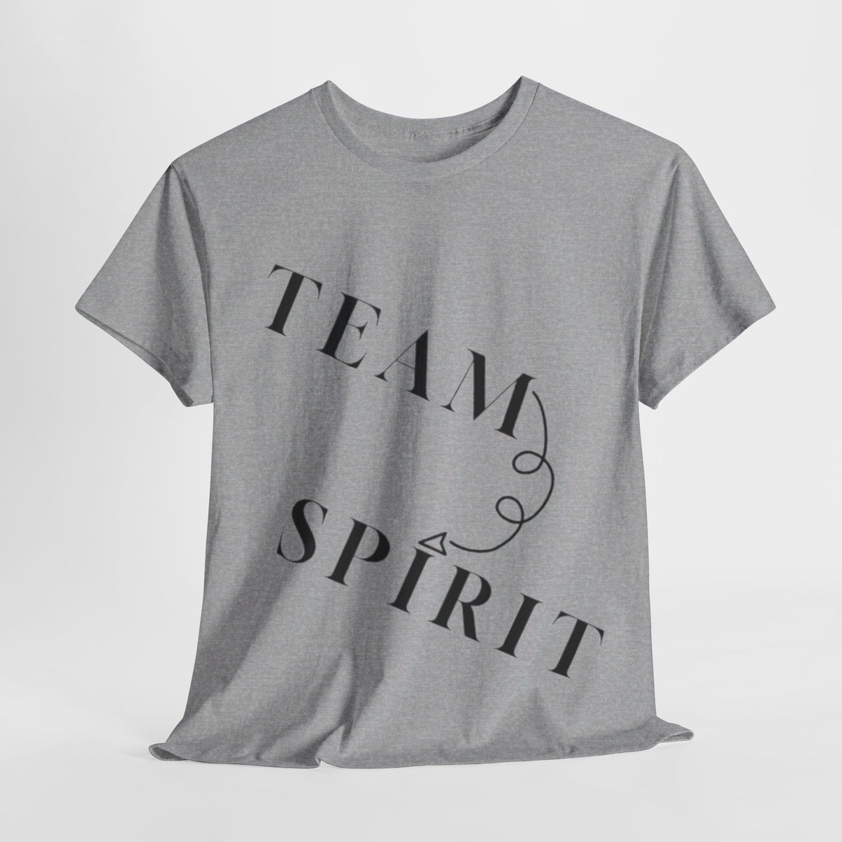 RCNSONS Unisex Heavy Cotton SPIRIT Tee