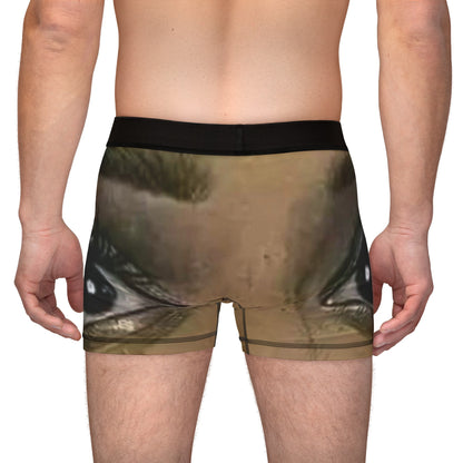Men's Boxers (AOP)