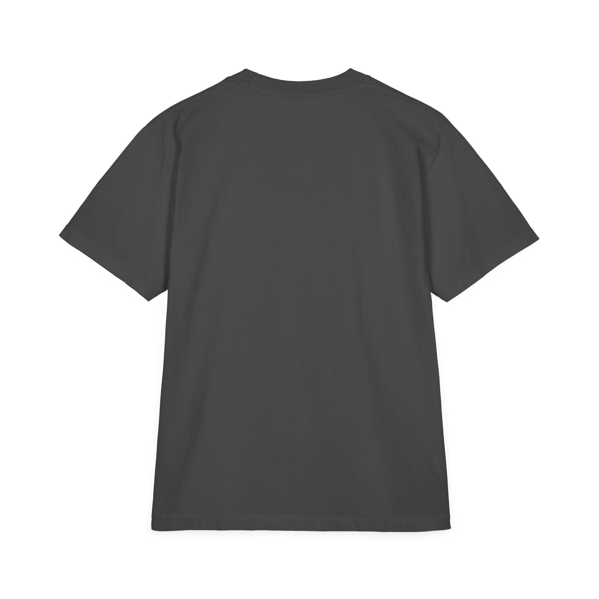 Surfing the Wave Graphic Tee, Casual T-Shirt, Beach Shirt, Summer Style, Unisex Apparel, Gift for Surfers