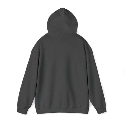 Hooded Sweatshirt with VOI A RC'nSONS Design