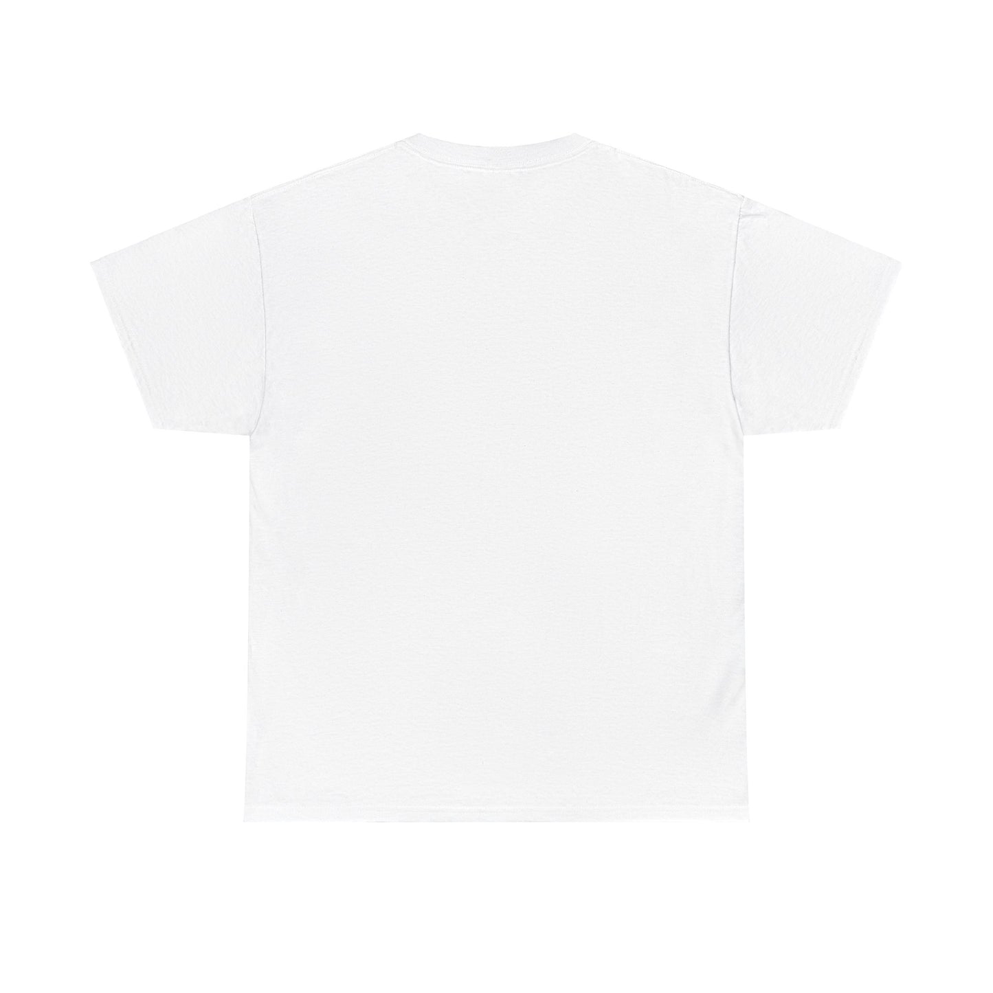 Unisex Heavy Cotton laundry Tee